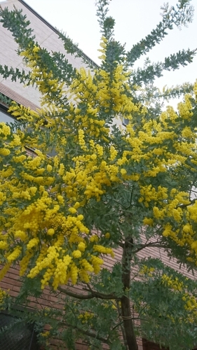 20170227133313353.jpg