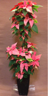 image-20131205211508.png