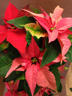 image-20131205212357.png