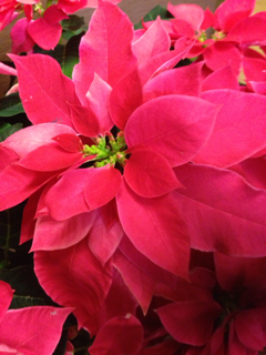 image-20131205213011.png