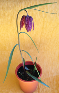 image-20140112222029.png