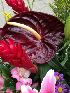 image-20140228061734.png