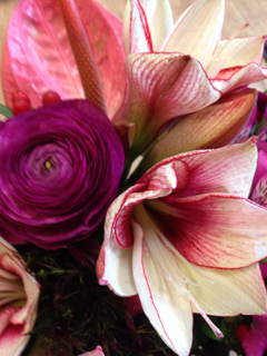 image-20140302232441.png